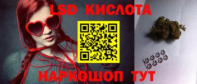 spice Рыбинск
