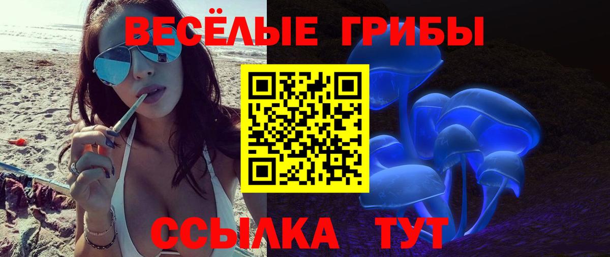 Туапсе  Псилоцибиновые грибы мухоморы  Вход с VPN 